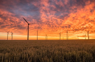 Karsten wurth karsten wuerth 104731 unsplash