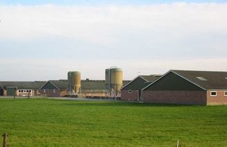 megastal