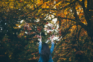 Paul green fh O Gkxw Qz0s unsplash 1