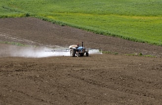 Pesticides