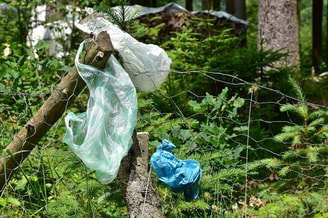Plastic-bag
