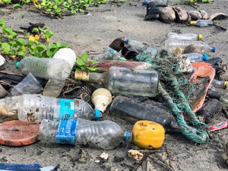 Plastic probleem Partij voor de Dieren