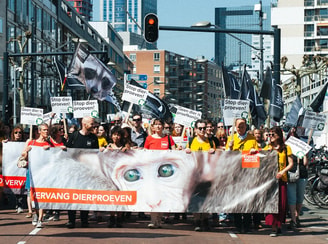 Proefdieren