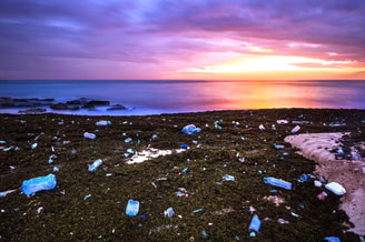 Vervuiling Plastic Soep