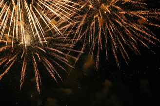 Vuurwerk vuurwerkverbod groenlinks partij voor de dieren vuurwerkwet