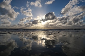 Waddenzee zee pvdd partij voor de dieren