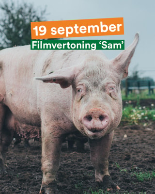 Filmvertoning Sam 1