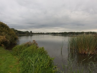 Flevopark