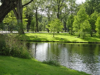Hoofdgroenstructuur Amsterdam