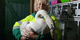 Dierenambulance Amsterdam open dag jpg