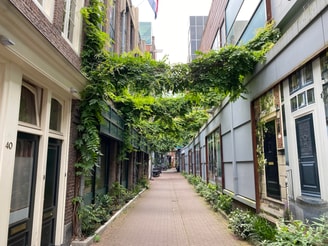 Hangende tuinen
