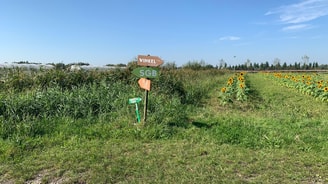 Lutkemeerpolder door Dani