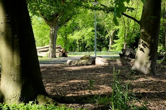 Noorderpark