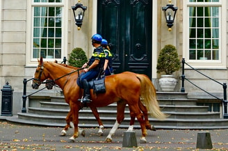 Politie paard foto Roel Wijnants Flickr