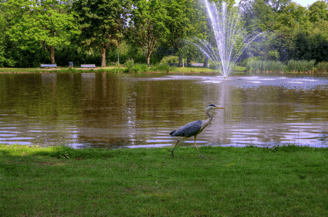 Reiger vondelpark