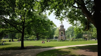 Sarpahtipark foto Franklin Heijnen