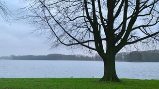 Sloterplas Partij voor de Dieren natuur