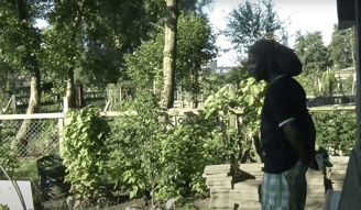 Volkstuin De Vrijbuiters in Amsterdam