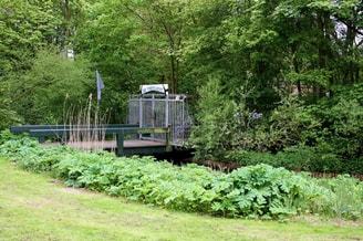 De toevlucht