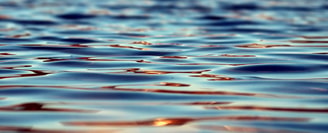 Drijvende zonnepanelen water