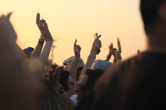 Festivals Amsterdam