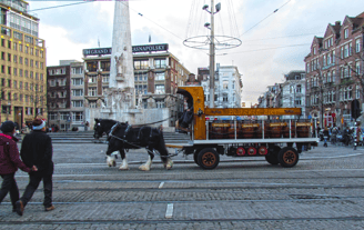 Foto roel Wijnants paarden heineken