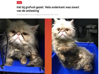 Perskat