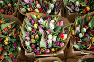 Tulpen boeket