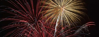 Siervuurwerk