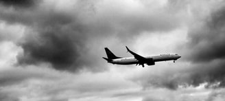 Vliegtuig In Grijze Lucht