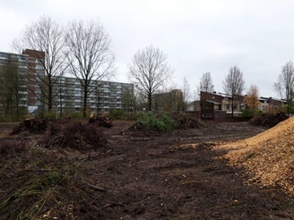 Leidenweg west 1
