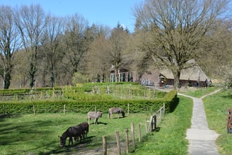 Mariendaal