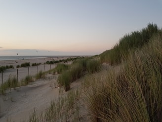 20180618 221449 in de avond met mobiel deel DH