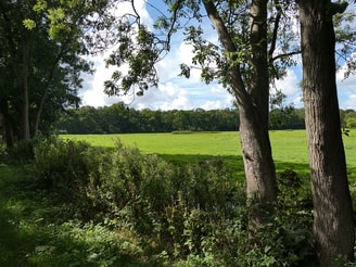 Haagse natuur Partij voor de Dieren