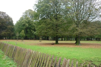 Hertenkamp Malieveld Koekamp Den Haag