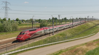 Thalys Lage Zwaluwe Flickr Rob Dammers