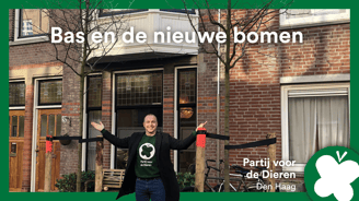 Bas bomen horizontaal