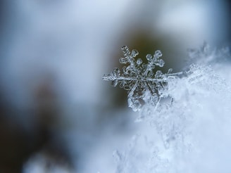 Aaron burden 5 Ai Wn2 U10cw unsplash