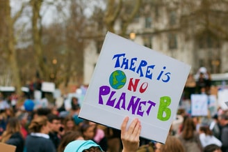 Demonstration 4193109 1280