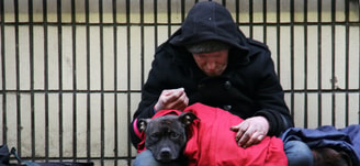 Nick fewings dakloos thuisloos huisdier hond2 unsplash