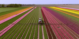 Landbouwgif