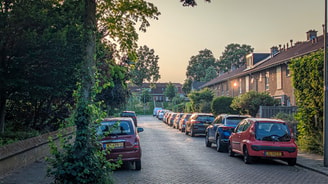 Maasterras Coornhertstraat Weeskinderendijk