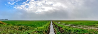 Landbouw