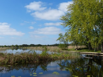 2025 water met groen