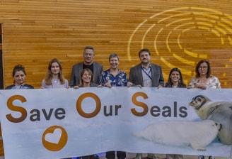Save our seals action