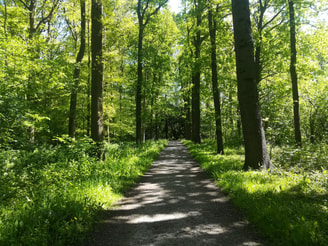 20180504 Oud Amelisweerd4
