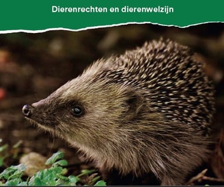 Screenshot verkiezingsprogramma horizontaal