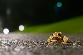Charles jackson YY Eh ERVQ Wrc unsplash