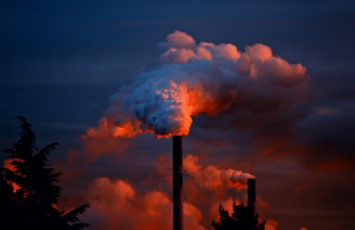 Chimney exhaust gases factory 60575