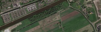 Bos borgbrug